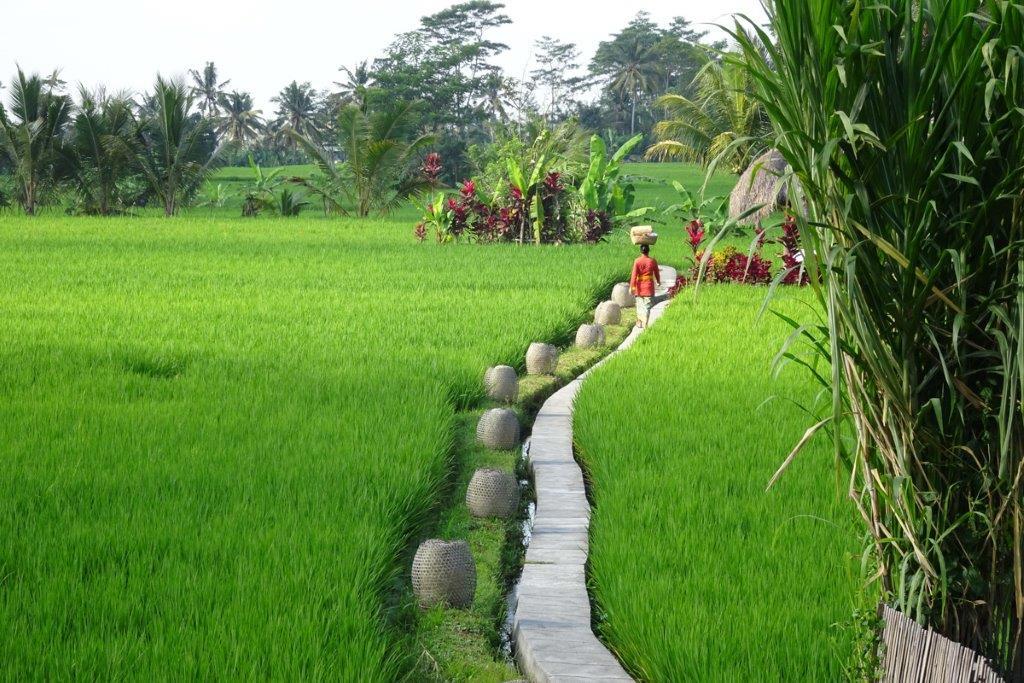 Mathis Retreat Ubud Exterior photo