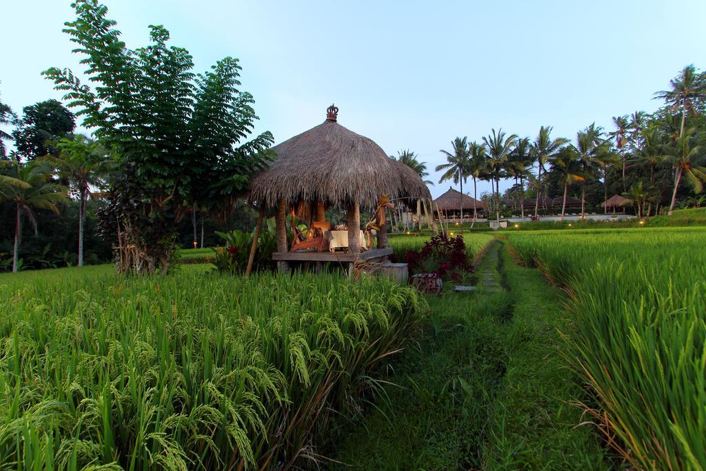 Mathis Retreat Ubud Exterior photo