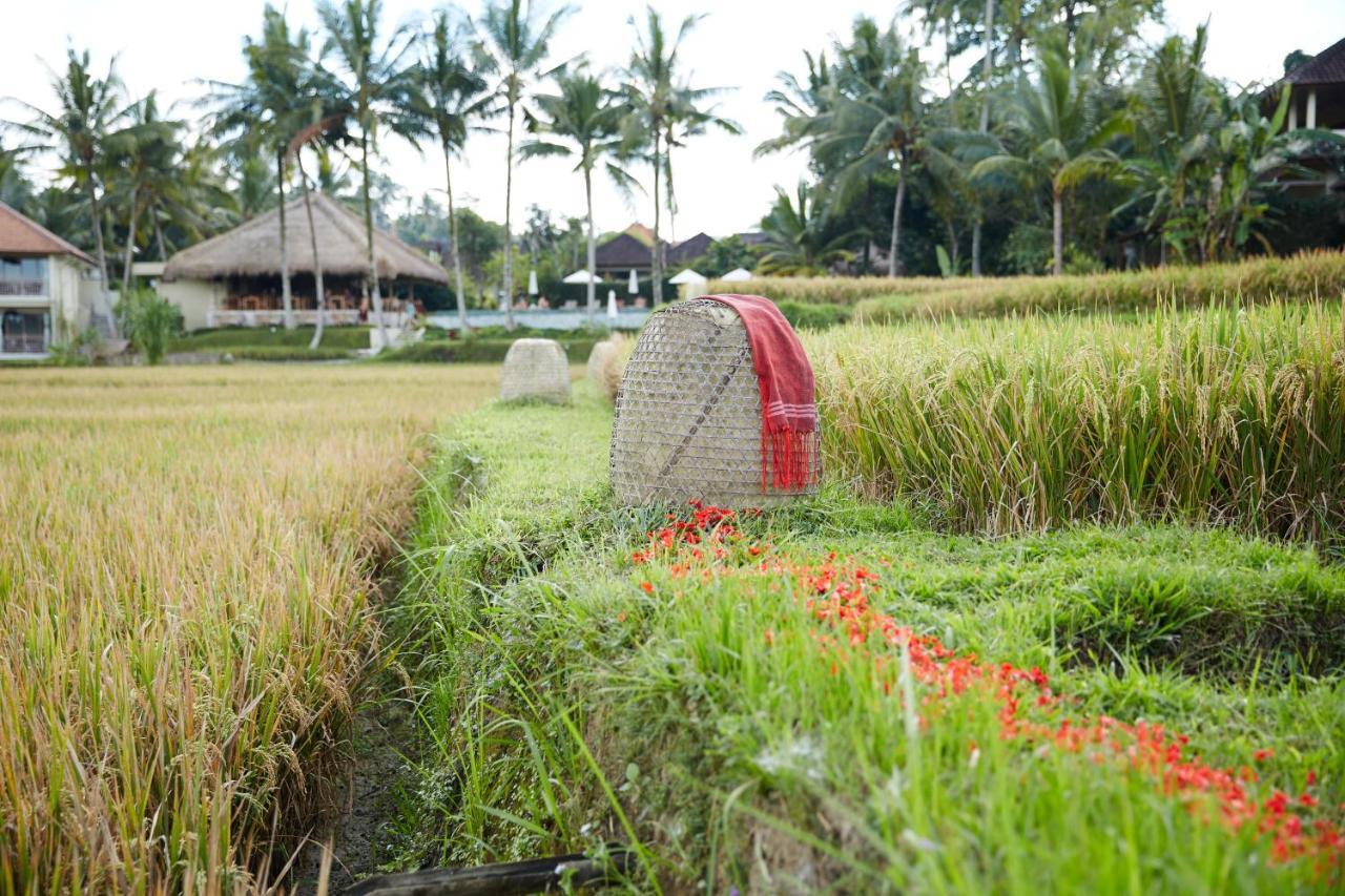 Mathis Retreat Ubud Exterior photo