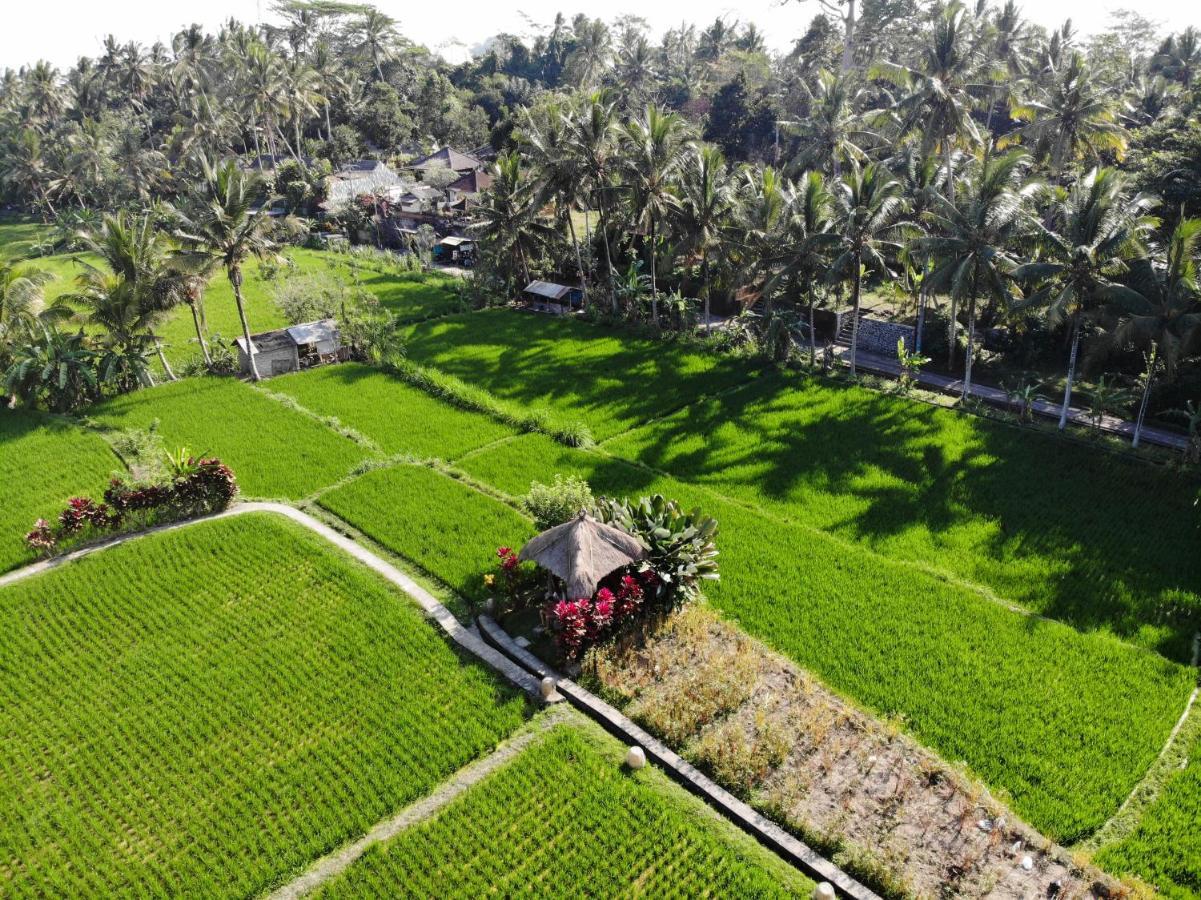 Mathis Retreat Ubud Exterior photo